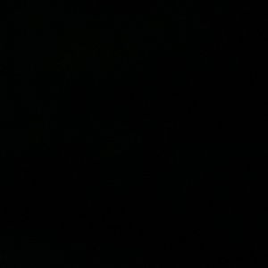 Meet your Posher, Adlynn